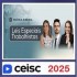 Prática Jurídica e Atualizações Leis Especiais Trabalhistas CEISC 2025