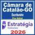 Câmara de Catalão GO (Escriturário) Pós Edital – Estratégia 2026