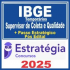 IBGE Temporários (Supervisor de Coleta e Qualidade + Passo) Pós Edital – Estratégia 2025