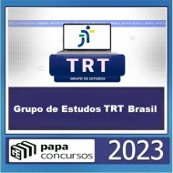 GRUPO DE ESTUDOS TRT BRASIL - PAPA CONCURSOS 2023