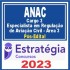 ANAC (Cargo 3 – Especialista em Regulação de Aviação Civil – Área 3) Pós Edital – Estratégia 2023